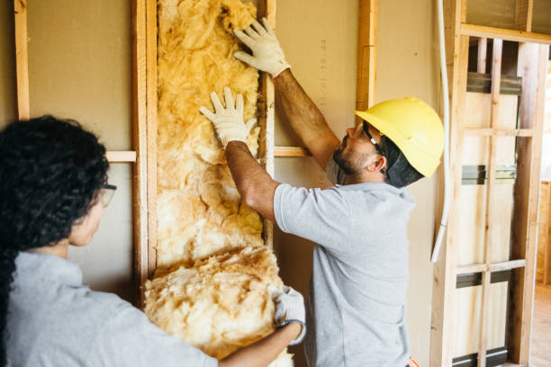 Best Eco-Friendly or Green Insulation Solutions  in Elk Grove Vlage, IL